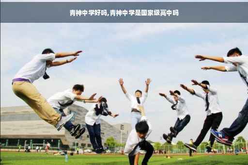 青神中学好吗,青神中学是国家级高中吗