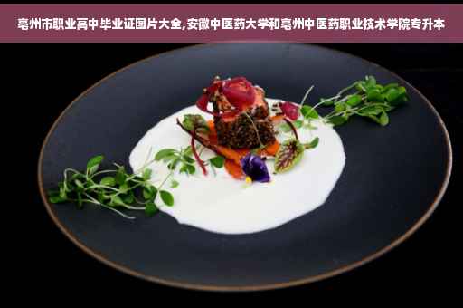 亳州市职业高中毕业证图片大全,安徽中医药大学和亳州中医药职业技术学院专升本