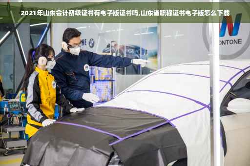 2021年山东会计初级证书有电子版证书吗,山东省职称证书电子版怎么下载