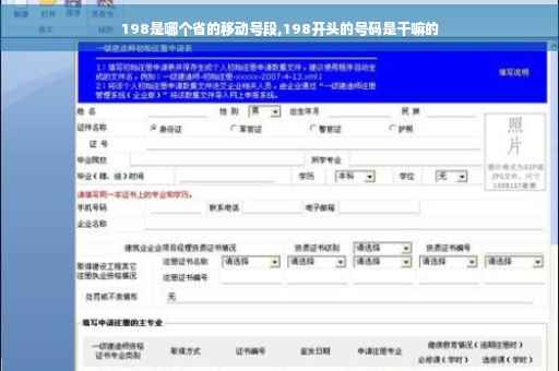 198是哪个省的移动号段,198开头的号码是干嘛的