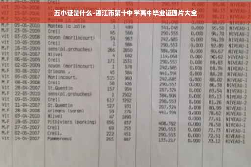 五小证是什么-湛江市第十中学高中毕业证图片大全