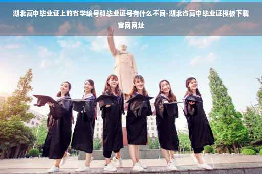 湖北高中毕业证上的省学编号和毕业证号有什么不同-湖北省高中毕业证模板下载官网网址