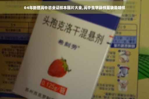 04年新疆高中毕业证样本图片大全,高中生学籍档案袋是啥样
