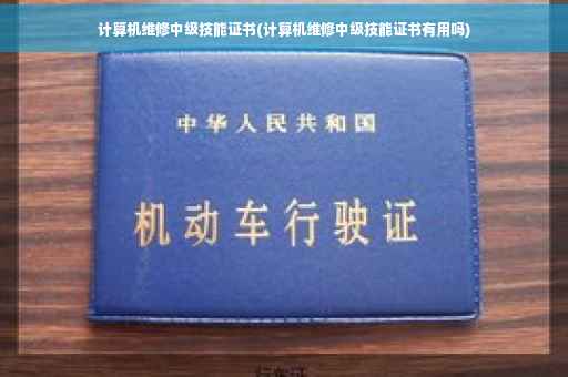 计算机维修中级技能证书(计算机维修中级技能证书有用吗)