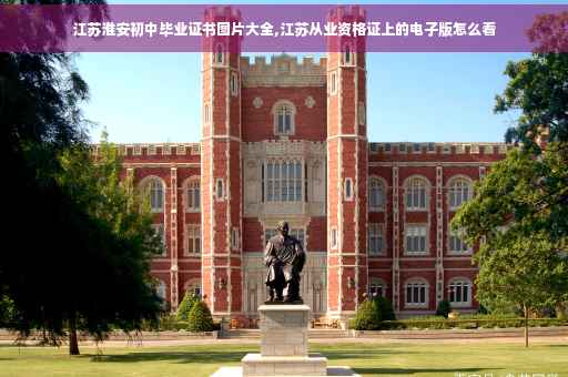 江苏淮安初中毕业证书图片大全,江苏从业资格证上的电子版怎么看