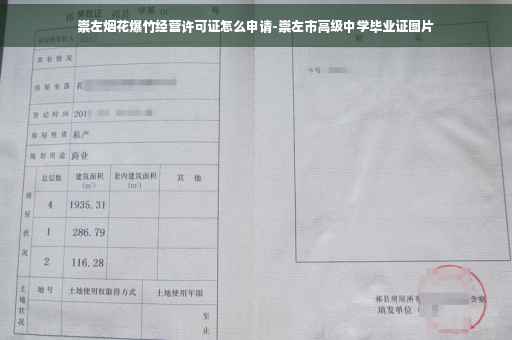 崇左烟花爆竹经营许可证怎么申请-崇左市高级中学毕业证图片