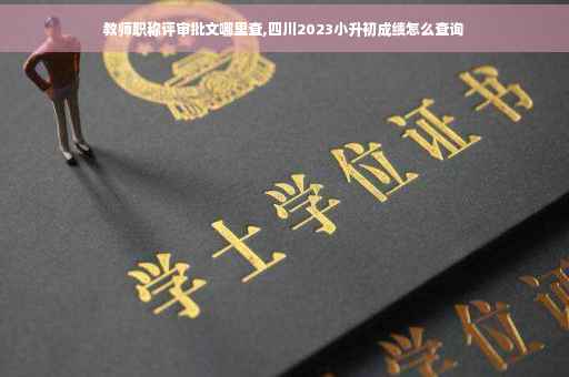 教师职称评审批文哪里查,四川2023小升初成绩怎么查询