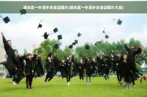 坡头区一中高中毕业证图片(坡头区一中高中毕业证图片大全)