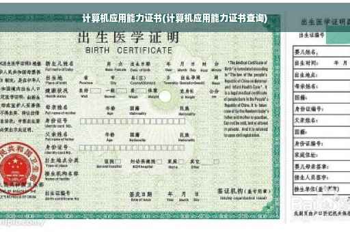 计算机应用能力证书(计算机应用能力证书查询)