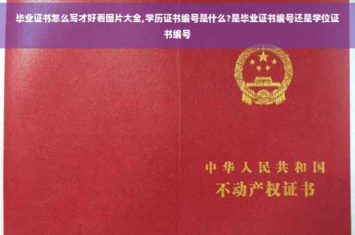 毕业证书怎么写才好看图片大全,学历证书编号是什么?是毕业证书编号还是学位证书编号