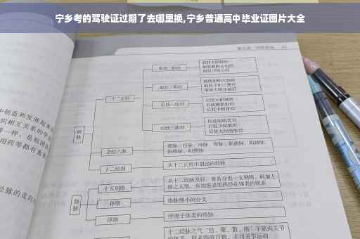 宁乡考的驾驶证过期了去哪里换,宁乡普通高中毕业证图片大全
