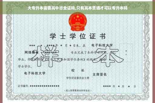 大专升本需要高中毕业证吗,只有高本贯通才可以专升本吗 大专升本需要高中毕业证吗,只有高本贯通才可以专升本吗