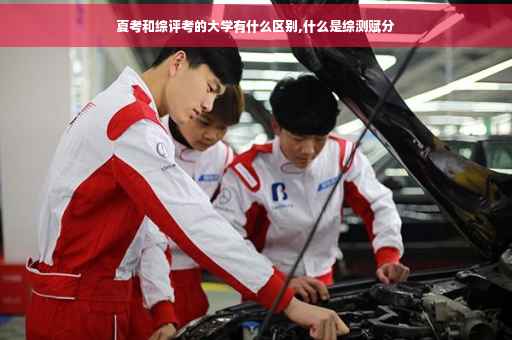 夏考和综评考的大学有什么区别,什么是综测赋分