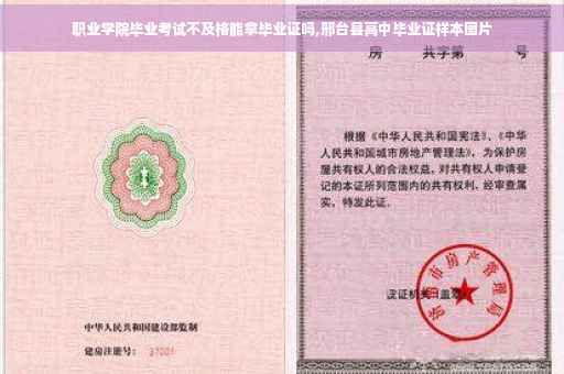 职业学院毕业考试不及格能拿毕业证吗,邢台县高中毕业证样本图片