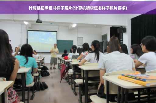 计算机初级证书样子照片(计算机初级证书样子照片要求)