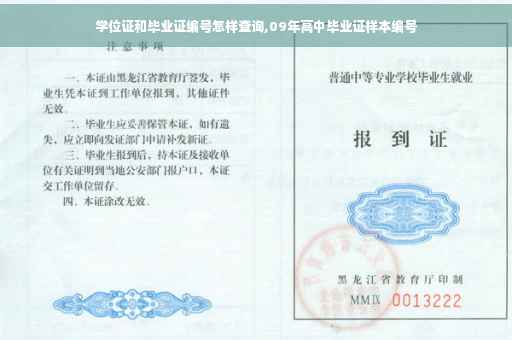 学位证和毕业证编号怎样查询,09年高中毕业证样本编号