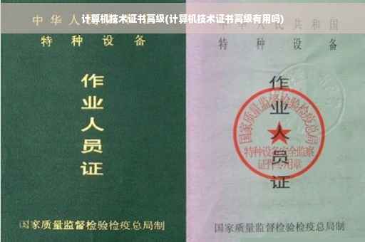 计算机技术证书高级(计算机技术证书高级有用吗)