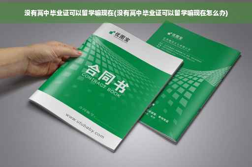 没有高中毕业证可以留学嘛现在(没有高中毕业证可以留学嘛现在怎么办)