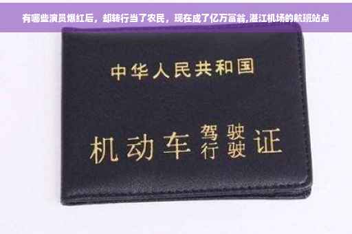有哪些演员爆红后，却转行当了农民，现在成了亿万富翁,湛江机场的航班站点
