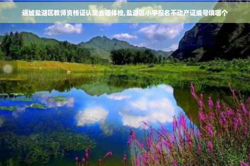 运城盐湖区教师资格证认定去哪体检,盐湖区小学报名不动产证编号填哪个