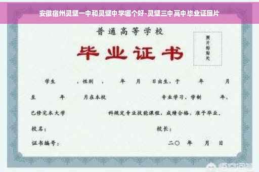 安徽宿州灵璧一中和灵璧中学哪个好-灵璧三中高中毕业证图片