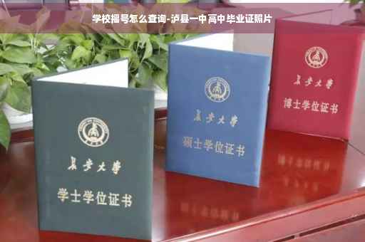 学校摇号怎么查询-泸县一中高中毕业证照片