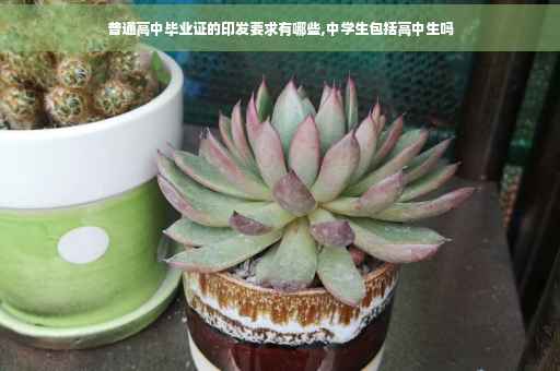 普通高中毕业证的印发要求有哪些,中学生包括高中生吗