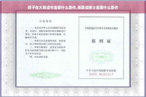 孩子在大英读书需要什么条件,英国读博士需要什么条件