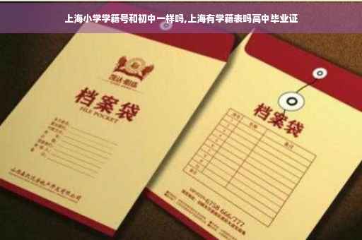 上海小学学籍号和初中一样吗,上海有学籍表吗高中毕业证