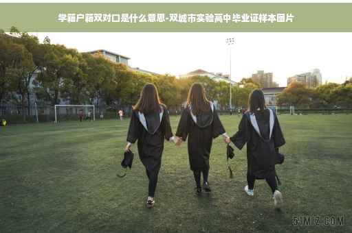 学籍户籍双对口是什么意思-双城市实验高中毕业证样本图片