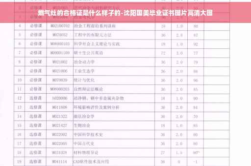 燃气灶的合格证是什么样子的-沈阳国美毕业证书图片高清大图