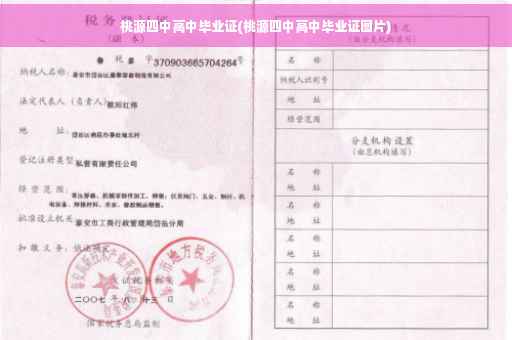 桃源四中高中毕业证(桃源四中高中毕业证图片)