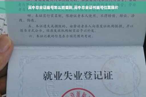 高中毕业证编号怎么能查到,高中毕业证书编号位置图片
