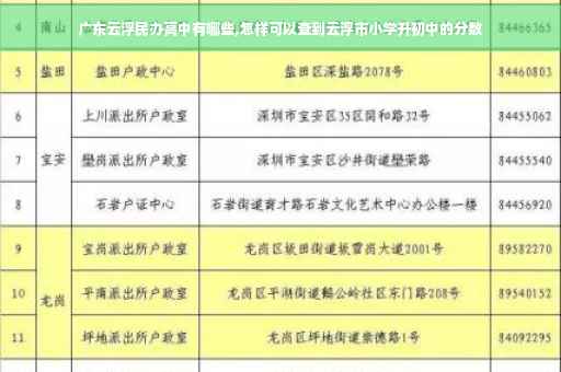 广东云浮民办高中有哪些,怎样可以查到云浮市小学升初中的分数