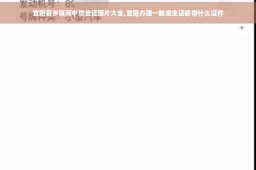 宜阳县乡镇高中毕业证图片大全,宜阳办理一胎准生证都带什么证件