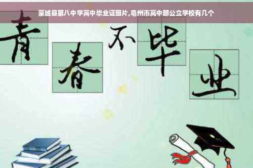 蒙城县第八中学高中毕业证图片,亳州市高中部公立学校有几个