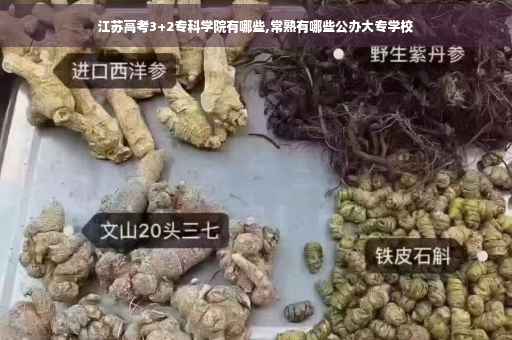 江苏高考3+2专科学院有哪些,常熟有哪些公办大专学校