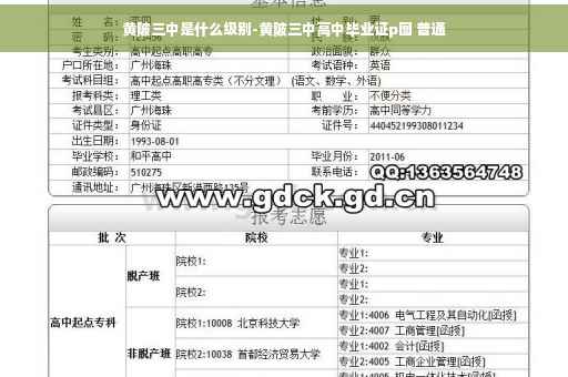 黄陂三中是什么级别-黄陂三中高中毕业证p图 普通