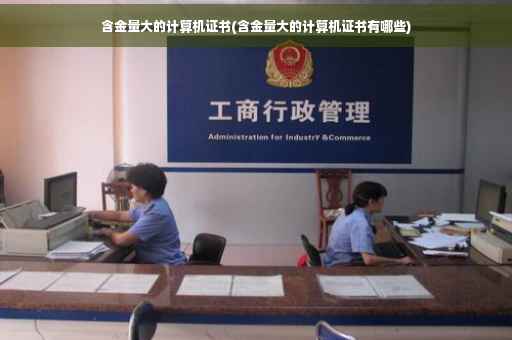 含金量大的计算机证书(含金量大的计算机证书有哪些) 含金量大的计算机证书(含金量大的计算机证书有哪些)