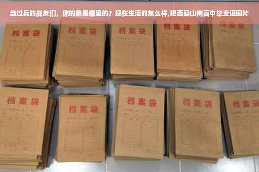 当过兵的战友们，你的家是哪里的？现在生活的怎么样,肥西县山南高中毕业证图片