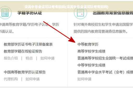 没高中毕业证可以考专科吗(没高中毕业证可以考专科吗)