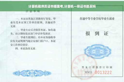 计算机程序员证书哪里考,计算机一级证书能买吗
