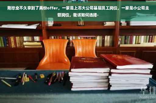刚毕业不久拿到了两份offer，一家是上市大公司基层员工岗位，一家是小公司主管岗位，我该如何选择-