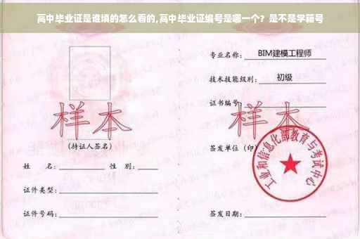 高中毕业证是谁填的怎么看的,高中毕业证编号是哪一个？是不是学籍号