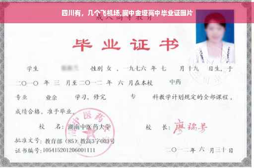 四川有，几个飞机场,阆中金垭高中毕业证图片