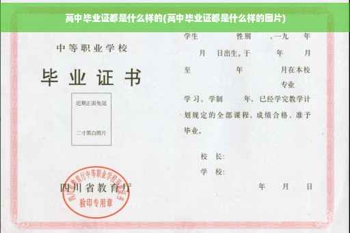 高中毕业证都是什么样的(高中毕业证都是什么样的图片)