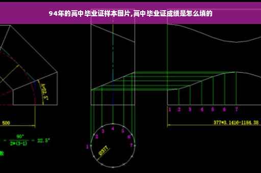 94年的高中毕业证样本图片,高中毕业证成绩是怎么填的