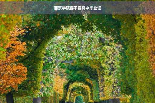 西京学院要不要高中毕业证