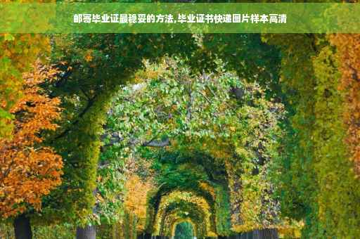 邮寄毕业证最稳妥的方法,毕业证书快递图片样本高清