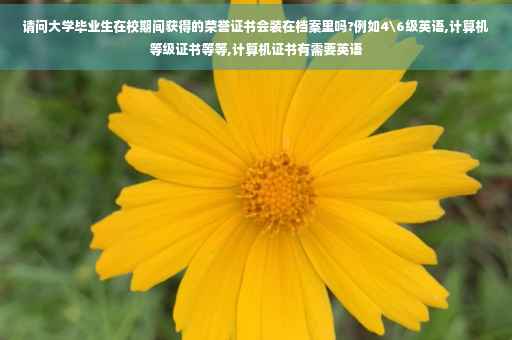 请问大学毕业生在校期间获得的荣誉证书会装在档案里吗?例如4级英语,计算机等级证书等等,计算机证书有需要英语